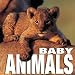 Baby Animals (Cubebook)