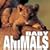 Baby Animals (Cube Books)