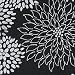 Shawls For Women Kashmir Sozuni Design Wool Accessory 28 X 75 Inches (ebsp017) Image #3 Shawls For Women Kashmir Sozuni Design Wool Accessory 28 X 75 Inches (ebsp017) Image #3
