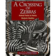 A Crossing of Zebras: Animal Packs in Poetry