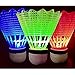 Eastlion 4 PCS LED Badminton Light UP Shuttlecock Plastic Glow Birdies for Night Sport Green