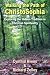 Walking the Path of ChristoSophia: Exploring the Hidden Tradition in Christian Spirituality