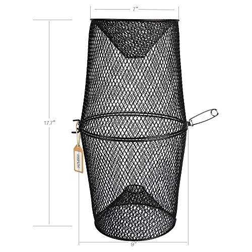 Top 5 Best shrimp trap for sale 2016 Product BOOMSbeat
