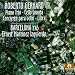 Classical Music : Gerhard: Piano Trio - Cello Sonata - Concierto - Libra - Barcelona 216
