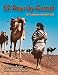 52 Days by Camel: My Sahara Adventure (Adventure Travel Series)