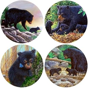 Black Bears Absorbent Coasters by 