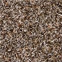 Nyger Seed 1kg