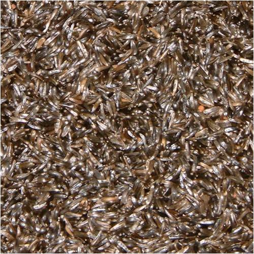 NIGER SEED FOR BIRD FOOD - 1KG BAG