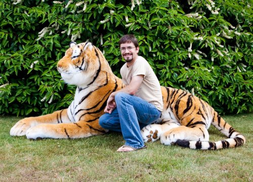 LIFESIZE 7 Foot Brown Bengal Tiger - Shrinkable