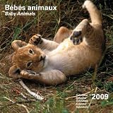 2009 CAL 30X30 BEBES ANIMAUX