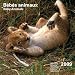 2009 CAL 30X30 BEBES ANIMAUX 2009 CAL 30X30 BEBES ANIMAUX