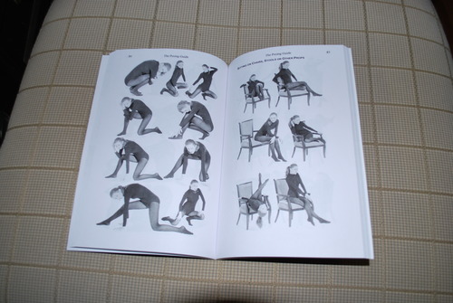 Image from inside the book.