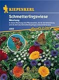 Details zu "Schmetterlingswiese Mischung ein- und mehrjähriger Arten" Details zu "Schmetterlingswiese Mischung ein- und mehrjähriger Arten"