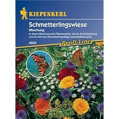 Schmetterlingswiese Mischung ein- und mehrj�hriger Arten