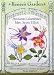 Columbine Mrs. Scott Elloit Heirloom Seeds 200 Seeds