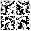Decorifexs Acanthus