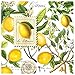 Michel Design Works 20-Count 3-Ply Paper Luncheon Napkins, Lemon Basil