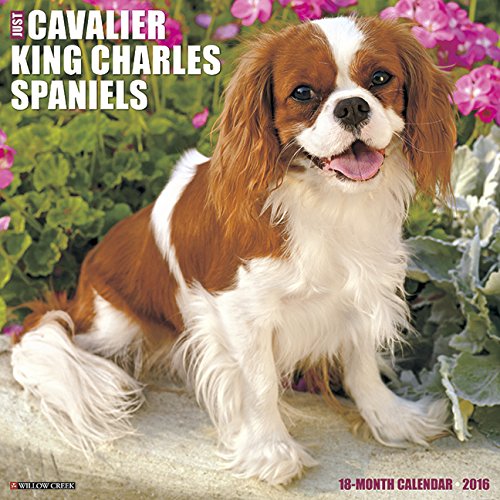 2016 Just Cavalier King Charles Spaniels Wall Calendar