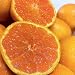 産地直送!送料無料!和歌山みかん 秀品 10kg(極早生みかん〜普通みかん)(ギフト、ご自宅用)