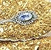 Meyer Imports Crushed Glass Glitter for Arts and Crafts | Broken Glass Gold Fusion German Glitter for Resin Craft Art/Tumblers/Nail Art/DIY Jewellery Making Decoration - 1 oz