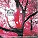Feel the Spirit - Other Worldly Folk Gems and Psychedelics