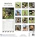 Welsh Terrier Calendar - Dog Breed Calendars 2017 - Dog Calendar - Calendars 2016 - 2017 wall calendars - 16 Month Wall Calendar by Avonside