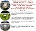 Check out The Fantastic Earn More Money, Inner Game and Accounting & Finance for Potty Chairs On-line Businesses 3 CD Power Pack