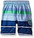 Kanu Surf Boys' Toddler Specter Stripe Swim Trunks