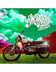 Lousy With Sylvianbriar