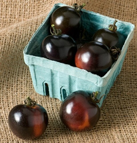 Indigo Rose Tomato - 20 Seeds - The Darkest Tomato in the World Indigo Rose Tomato - 20 Seeds - The Darkest Tomato in the World