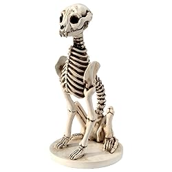 cat and dog skeleton halloween decorations