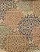 Contemporary Brown and Beige Modern Floral Flowers Area Rug (2' x 3')