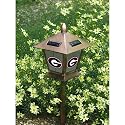 Georgia Solar Lantern