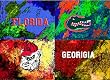 Florida Painting - A House Divided- Georgia-Florida