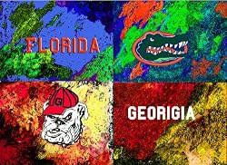 Florida Painting - A House Divided- Georgia-Florida
