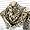 Pashmina Feel Leopard Animal Print Scarf - Brown Image #5