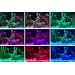 LED AQUARIUM COLOUR CHANGING STRIP LIGHTING SET with WIRELESS CONTROLLER ** FULLY WATERPROOF KIT IDEAL FOR TRANSFORMING AQUARIUMS, FISH TANKS, PONDS, ETC **