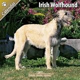 Irish Wolfhound 16 Monate Kalender 2011