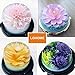 LOHOME 3D Gelatin Art Tools - Set of 10-pieces Jelly Cake Stainless Steel Needles Coming with One 10ml Syringe - Pudding Pastry Nozzles (Flower Shape 8)