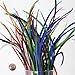 Premium Vibrant Colored Large Biot Goose Feathers - 40 to 50 Per Package - 7
