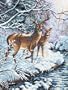Dimensions Needlecrafts Counted Cross Stitch, Creekside Deer