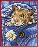 Schipper 924 0436 - Malen nach Zahlen Mucki, der blinde Passagier für Kids, 24x30 cm