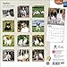 Papillons 2015 Wall Calendar