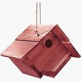 North State Industries 1639 Deluxe Cedar Wren House