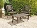 Bronze Metal 3 Piece Bistro Garden Table and Chairs Set - Low Level Table and 2 Carver Arm Chairs Wi