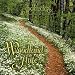 Woodland Flute