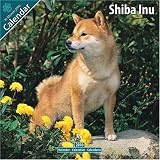 Shiba Inu 2010 Wall Calendar #10089-10