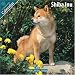 Shiba Inu 2010 Wall Calendar #10089-10