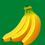 61hXQh6 BZL. SL160 Nutrition Tips