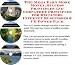 The Guru's How To Earn Extra Money, Marketing and Success Principles for Recliners Web Businesses 3 CD Power Pack